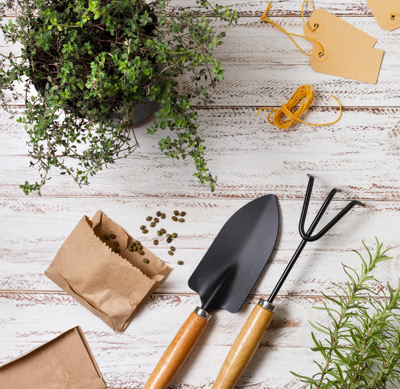 Who We Are – Italian Planters LLC